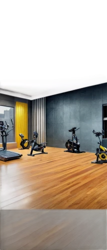 fitness room,technogym,fitness center,fitness facility,precor,leisure facility,gimnasio,powerbase,ellipticals,workout equipment,gymnase,sportsclub,sportclub,elliptical,gymnastics room,gymnasiums,elitist gym,gyms,exercices,search interior solutions,Conceptual Art,Daily,Daily 33