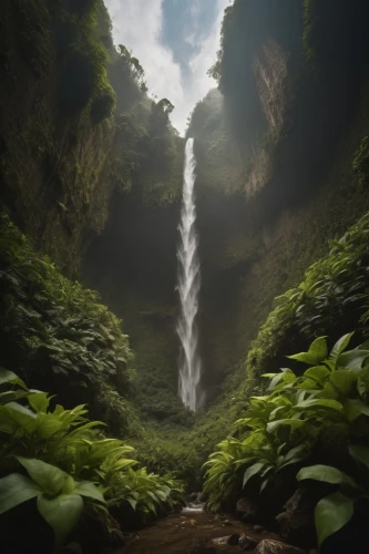 green waterfall,brown waterfall,water falls,bridal veil fall,waterfall,water fall,waterfalls,waipio,levada,koolau,kalalau,kauai,ash falls,hesychasm,falls,hawaii,nectan,cascading,takachiho,waterval,Photography,General,Cinematic