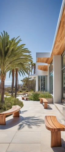 dunes house,pepperdine,csulb,outdoor furniture,xeriscaping,corten steel,neutra,nainoa,landscaped,breezeway,ucsd,shorecrest,royal palms,palm pasture,ucsb,palm garden,mid century modern,landscape design sydney,csusb,palm fronds,Illustration,Retro,Retro 08