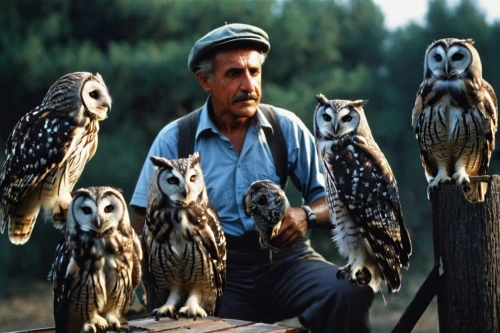 owl nature,owls,falconers,owl background,pawlowicz,bubo,couple boy and girl owl,large owl,falconry,siberian owl,plaid owl,hoot,hootie,owl art,owl pattern,waxhaws,gulen,glaucidium,khayat,afari,Photography,Documentary Photography,Documentary Photography 15