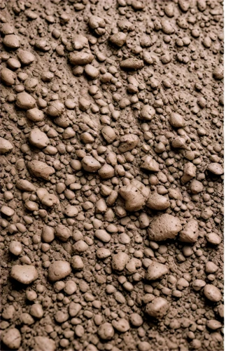 mud wall,wall texture,bryozoans,sandstone wall,bronze wall,wall plaster,wall stone,carved wall,bioturbation,stone pattern,wall panel,bryozoan,coprolites,honeycomb stone,bryozoa,stone background,cork wall,granulomas,rough plaster,cement wall,Conceptual Art,Daily,Daily 07