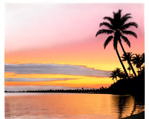 waikoloa,lahaina,sunset beach,savaii,pink beach,pink dawn,paradises,sunrise beach,palm tree silhouette,hawai,islamorada,coconut trees,south pacific,outrigger,coconut palms,papeete,coconut tree,chuuk,huahine,rabaul,Conceptual Art,Sci-Fi,Sci-Fi 21