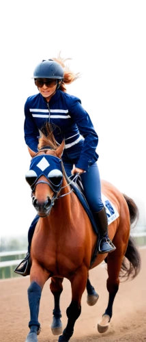 equestrian sport,cavalryman,horse and rider cornering at speed,eventer,trakehner,desormeaux,silvano,wagiman,galop,caballos,caballito,justify,equitation,equestrianism,polocrosse,lusitanos,cantering,gallopin,goldikova,masar,Illustration,Realistic Fantasy,Realistic Fantasy 15