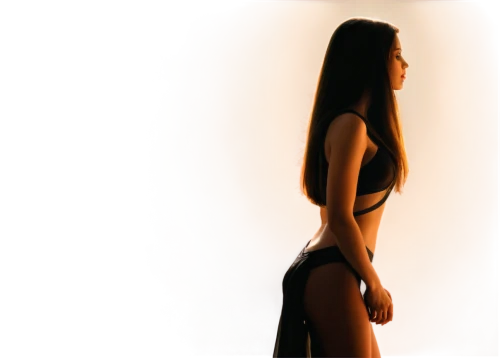 woman silhouette,back light,female body,backlighted,backlighting,backlight,hekate,sillouette,girl in a long,decorative figure,objectification,overpainting,backlit,broncefigur,pregnant woman icon,rotoscoped,photo painting,sombras,sun salutation,concupiscence,Conceptual Art,Sci-Fi,Sci-Fi 15