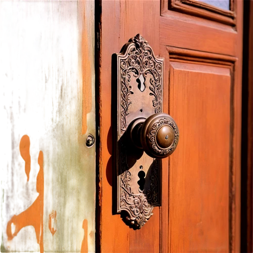 door knocker,iron door,wooden door,doorbells,church door,doorknob,old door,door lock,doorkeeper,doorkeepers,rusty door,ironmongery,doorsteps,doorpost,knocker,door handle,garden door,doorknobs,door key,deadbolt,Illustration,Realistic Fantasy,Realistic Fantasy 21