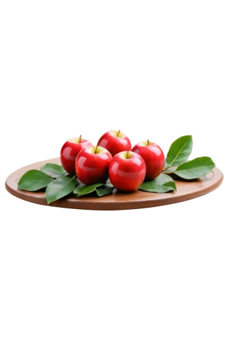 cherries in a bowl,rose hip fruits,red berries,rose hip berries,rosehip berries,rowanberry,cherry branch,jewish cherries,bearberry,chili berries,sweet cherries,cranberry,cherries,lingonberries,accoceberry,lingonberry,cranberries,rose hip oil,cherry plum,holly berries,Illustration,Black and White,Black and White 27