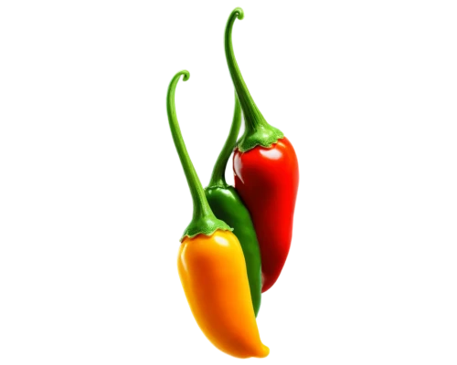 bellpepper,colorful peppers,chili pepper,cayenne,capsaicin,bell pepper,cayenne pepper,cayenne peppers,red bell pepper,chilli pepper,serrano peppers,habanero,pimentos,red chili pepper,ornamental peppers,bell peppers,red chili,red pepper,chilli,chile pepper,Conceptual Art,Sci-Fi,Sci-Fi 21