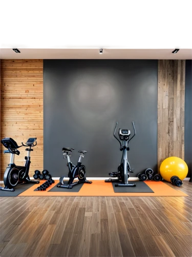 fitness room,technogym,fitness center,fitness facility,workout equipment,exercisers,home workout,leisure facility,kettlebells,precor,workout items,exercise ball,sportif,exercices,cybex,ellipticals,sportier,workout icons,elitist gym,sportsclub,Unique,Design,Knolling