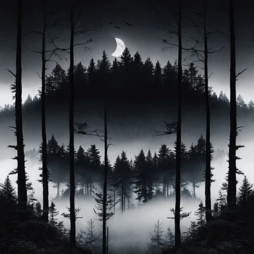 forest dark,oscura,foggy forest,halloween background,moonsorrow,forest background,haunted forest,nacht,black forest,moonlit night,halloween wallpaper,moon and star background,the forest,owl background,beautiful wallpaper,hanging moon,moonglow,forest,oscuro,dark park,Photography,Black and white photography,Black and White Photography 07