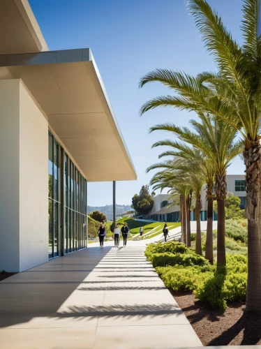 champalimaud,csusb,pepperdine,ucsd,technion,csulb,ucsb,deyoung,breezeway,nainoa,phototherapeutics,lmu,csuf,vmfa,eckerd,shorecrest,walkway,llnl,kaust,amanresorts,Art,Artistic Painting,Artistic Painting 07