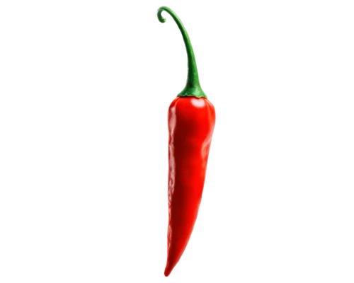 chili pepper,red chili pepper,red chili,chilli pepper,capsaicin,cayenne pepper,chilli,red pepper,cayenne,bellpepper,chile pepper,red chile,chili,pimiento,tabasco,pimentos,chillies,spiciest,scoville,red bell pepper,Conceptual Art,Oil color,Oil Color 17