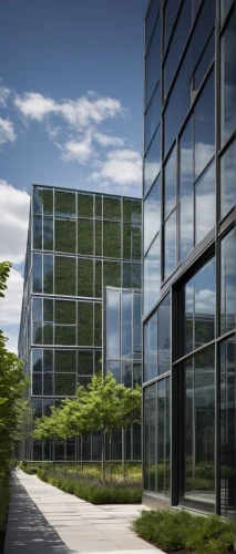 glass facade,phototherapeutics,office building,metaldyne,glass building,glass facades,office buildings,structural glass,technopark,embl,genzyme,company headquarters,globalfoundries,biotechnology research institute,glass wall,revit,ecolab,company building,headquarter,epfl,Illustration,Realistic Fantasy,Realistic Fantasy 41