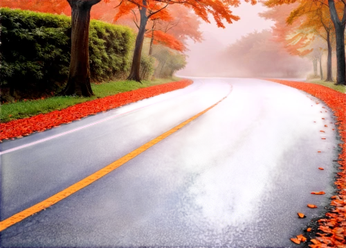 asphalt road,maple road,road,autumn background,racing road,open road,roads,autumn scenery,forest road,the road,winding road,winding roads,long road,empty road,mountain road,asphalt,country road,watercolor background,roadways,photo painting,Illustration,Japanese style,Japanese Style 12