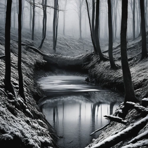 winter forest,black landscape,germany forest,winter landscape,black forest,forest dark,tributary,hollow way,northern black forest,tributaries,deviantart,forest landscape,flowing creek,watercourse,foggy forest,streams,elfland,landscape photography,holloways,clear stream,Photography,Black and white photography,Black and White Photography 07