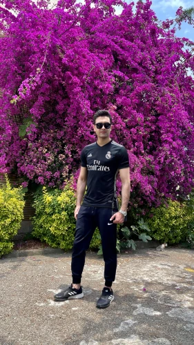 bikfaya,bougainvilleans,flowers of massive,flower background,bougainvillea,dubai miracle garden,greenscreen,spring background,ehden,bougainville,bougainvilleas,jableh,abha,mussoorie,weiping,japanese sakura background,zahle,chouf,botanico,qarabagh