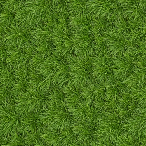 green wallpaper,zoysia,block of grass,spring leaf background,leaf background,tropical leaf pattern,grass,chrysanthemum background,nettled,green background,green leaves,background ivy,zigzag background,hydrilla,wood daisy background,clover pattern,paisley digital background,microalgae,microflora,brick grass,Realistic Material,Grass,Grass 20