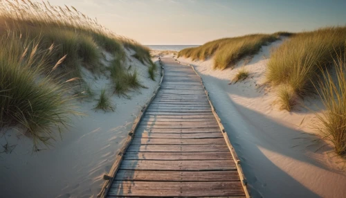 marram,sylt,amrum,baltic sea,westerland,the baltic sea,zeeland,henne strand,renesse,cape cod,zingst,boardwalks,sand paths,skagen,dune sea,ameland,beach landscape,strand,sundstrand,dune landscape,Photography,General,Cinematic