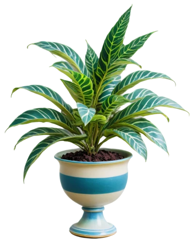 potted plant,potted palm,pot plant,fern plant,dracaena,houseplant,potted tree,hostplant,green plant,dracena,money plant,mixed cup plant,container plant,norfolk island pine,dark green plant,zamia,plant pot,small plant,rank plant,indoor plant,Art,Classical Oil Painting,Classical Oil Painting 42
