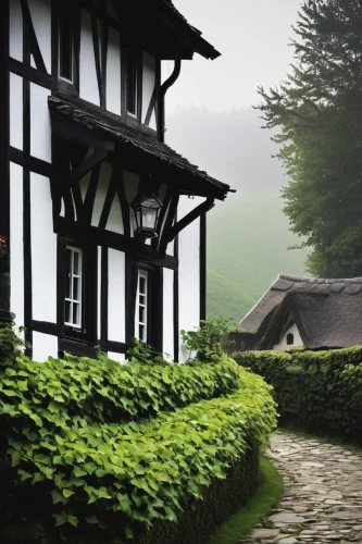 house in mountains,house in the mountains,house in the forest,lonely house,teahouses,teahouse,wooden house,home landscape,roof landscape,miniature house,traditional house,timber framed building,timbered,forest house,thatched cottage,house with lake,little house,small house,cottage,ancient house,Illustration,Black and White,Black and White 33