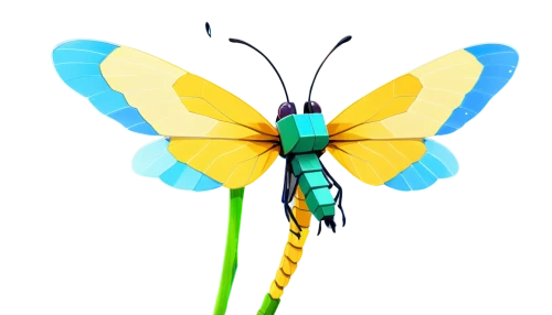 butterfly vector,large aurora butterfly,pellucid hawk moth,ornithoptera,aurora butterfly,butterfly background,butterflyer,yellow dragonfly,inotera,winged insect,glass wing butterfly,dragonfly,spring dragonfly,butterfly,adonis dragonfly,ulysses butterfly,butterfly isolated,butterfly orchid,tropical butterfly,flutter,Unique,Pixel,Pixel 03