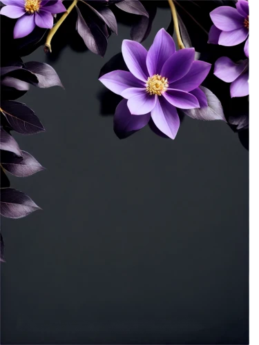 flower background,flowers png,anemone purple floral,japanese floral background,flower wallpaper,chrysanthemum background,paper flower background,floral digital background,amoled,purple flowers,purple wallpaper,floral background,violet flowers,purple flower,anemone japonica,waterlilies,frame flora,wood daisy background,flowers frame,aquilegia,Illustration,Realistic Fantasy,Realistic Fantasy 09