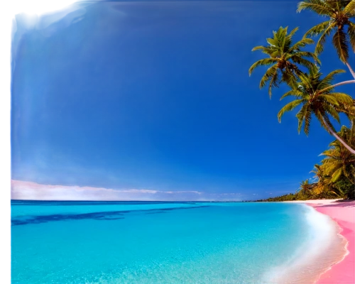 pink beach,bahama,kurumba,maldives,dream beach,aitutaki,tropical beach,lakshadweep,maldives mvr,maldive,fiji,tahiti,paradise beach,paradisiacal,delight island,cook islands,tropical sea,laccadive,beautiful beach,samoa,Photography,Fashion Photography,Fashion Photography 08