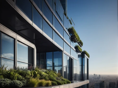 roof garden,tishman,penthouses,skyscapers,planta,cantilevered,residential tower,glass facade,towergroup,high rise building,the observation deck,escala,observation deck,microhabitats,roof terrace,skyscraping,sky apartment,balcony garden,skyloft,supertall,Photography,Black and white photography,Black and White Photography 04