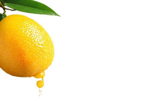 lemon background,lemon wallpaper,citrus,slice of lemon,lemon - fruit,juicy citrus,lemon,yellow orange,oranges,orange yellow fruit,orange fruit,lemon half,half slice of lemon,lemon tree,lemon juice,limonene,citron,citrus fruit,defense,lemon lemon,Illustration,Realistic Fantasy,Realistic Fantasy 12