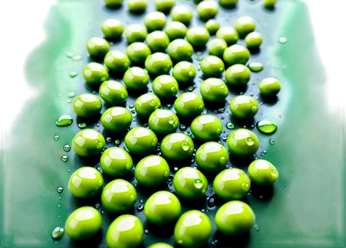 piperia,guarana,chlorella,drops of water,green,waterdrops,spirulina,dewdrops,wheat grass,green soybeans,dew droplets,water drops,green bubbles,drops,drops plant leaves,wheatgrass,microalgae,oilseed,teosinte,water spinach,Conceptual Art,Oil color,Oil Color 10