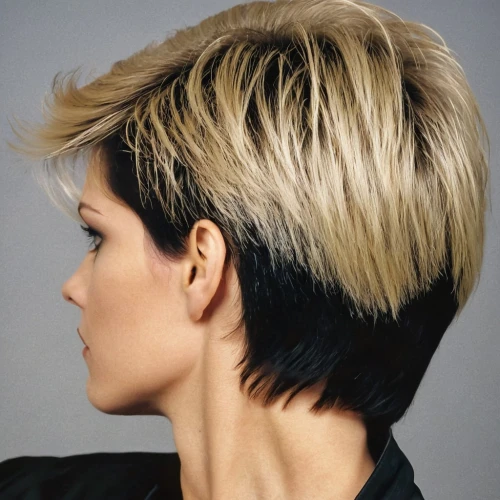 undercut,goldwell,profile,sidecut,shorthair,pompadour,half profile,short blond hair,back of head,shoulder length,undercuts,vasilescu,side face,sternocleidomastoid,sassoon,ceausescu,toupees,coif,crewcut,jaw,Photography,General,Realistic