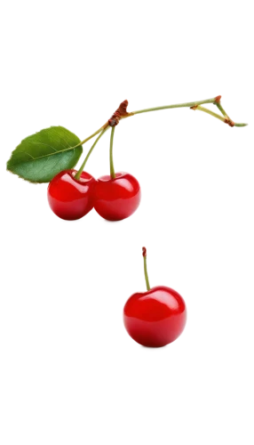 greed,ellipsoids,isolated product image,bladder cherry,red berries,cherry branch,red and green,erythroxylum,onagraceae,ultracapacitors,accoceberry,schisandraceae,microcapsules,red green,red,pentachlorophenol,cranberries,lingonberries,lipoprotein,angiosperms,Illustration,Abstract Fantasy,Abstract Fantasy 15