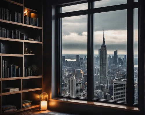 bookshelves,bookcases,bookcase,window view,bookshelf,book wall,windowpanes,cityscapes,penthouses,window sill,window curtain,bedroom window,the window,window to the world,windowsill,sky apartment,glass window,dark cabinetry,study room,bookish,Illustration,Realistic Fantasy,Realistic Fantasy 46