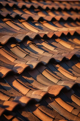 roof tiles,roof tile,tiled roof,wooden roof,roof landscape,house roofs,rooflines,terracotta tiles,slate roof,roofline,the old roof,clay tile,house roof,shingled,roofs,roofing,straw roofing,roof panels,thatch roof,roof plate,Conceptual Art,Sci-Fi,Sci-Fi 01