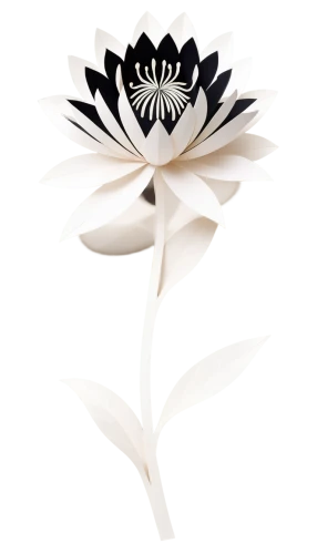 lotus png,retro flower silhouette,crown chakra flower,lotus ffflower,lotus leaf,lotus flower,white water lily,flower of water-lily,lotus with hands,lotus blossom,blooming lotus,white lily,flowers png,chrysanthemum background,water lotus,hymenocallis,lotus,white plumeria,lotus flowers,lotus position,Unique,Paper Cuts,Paper Cuts 03