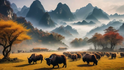 mountain pasture,mountain cows,autumn mountains,inner mongolian beauty,mountainous landscape,mountain landscape,mongolia eastern,beautiful landscape,alpine pastures,yunnan,nature of mongolia,yangshao,mountain scene,nature mongolia,autumn landscape,nature landscape,fantasy landscape,huangshan mountains,horned cows,grasslands,Illustration,Paper based,Paper Based 15