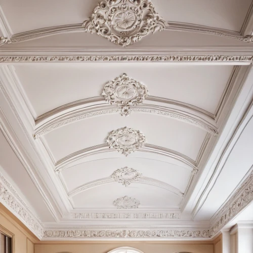 plasterwork,coffered,stucco ceiling,mouldings,architrave,ceiling construction,corinthian order,plafond,cornice,entablature,wall plaster,structural plaster,hall roof,overmantel,moulding,wainscoting,vaulted ceiling,corbels,plasterboard,ceilings,Illustration,Abstract Fantasy,Abstract Fantasy 03