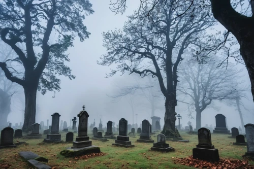 graveyards,graveyard,old graveyard,burial ground,forest cemetery,cemetery,cemetary,cemeteries,jew cemetery,cemetry,burials,old cemetery,gravestones,grave stones,jewish cemetery,autumn fog,foggy day,tombstones,graves,headstones