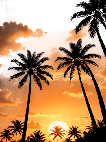 palm tree vector,palm tree,palm tree silhouette,palmtrees,palms,palm trees,palmtree,palm silhouettes,palm forest,coconut trees,two palms,coconut palms,palm,tropic,palm branches,palmtops,palm leaves,palm pasture,watercolor palm trees,tropical island,Illustration,American Style,American Style 13