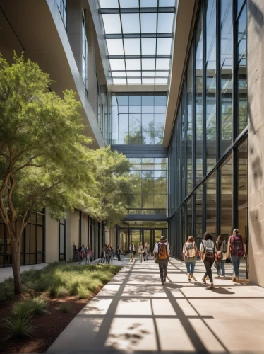 renderings,atriums,daylighting,school design,technion,cupertino,calpers,breezeway,new building,skyways,3d rendering,ucd,metaldyne,biotechnology research institute,utsa,streamwood,meditech,schulich,pedway,ucsf,Illustration,Paper based,Paper Based 13