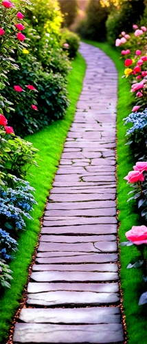 pathway,wooden path,walkway,tree lined path,forest path,walk in a park,towards the garden,way of the roses,pathways,the path,the mystical path,to the garden,walking in a spring,the way of nature,hiking path,footpath,paths,the way,path,towpath,Conceptual Art,Sci-Fi,Sci-Fi 08