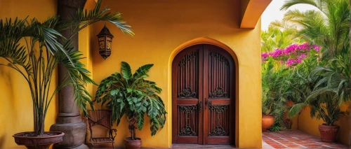 garden door,front door,palmilla,entryway,doorway,doorways,patio,patios,entranceway,tlaquepaque,hacienda,church door,entryways,house entrance,puertas,doorstep,main door,barretos,nicaraguan cordoba,santa barbara,Illustration,Vector,Vector 02