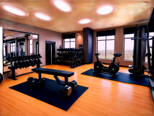 fitness room,fitness center,fitness facility,technogym,powerbase,leisure facility,gyms,workout equipment,elitist gym,gymnastics room,gimnasio,pair of dumbbells,sportsclub,gymnasiums,gymnase,sportclub,dumbbells,3d rendering,facility,weights,Illustration,American Style,American Style 02
