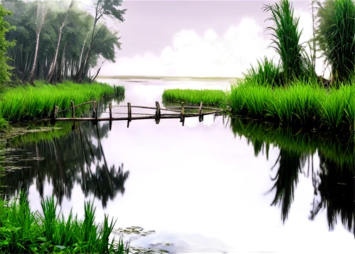 wetland,backwaters,nature background,landscape background,backwater,pond,ricefield,background view nature,wetlands,kuttanad,swamps,waterscape,rice fields,ricefields,marshlands,reedbed,waterbody,swampy landscape,polders,forest lake,Art,Classical Oil Painting,Classical Oil Painting 18