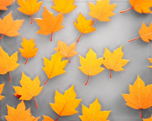 leaf background,maple leaves,yellow maple leaf,maple foliage,maple leave,autumn background,leaf icons,autumn leaf paper,autumn pattern,gold leaves,golden leaf,yellow leaves,leaf pattern,yellow leaf,colored leaves,the leaves,fall leaf border,maple bush,spring leaf background,thanksgiving background,Unique,3D,Low Poly