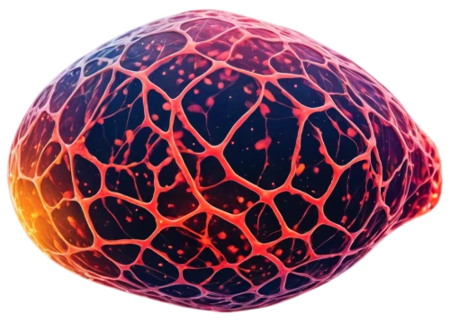 spheroids,ovule,vesicle,spherules,cell structure,spheroidal,fibrillar,stemcells,stemcell,oocyte,vesicles,cytoskeleton,subcellular,adipocyte,blastocyst,intercellular,thymocytes,nanoparticle,osteoclast,nucleolus,Art,Classical Oil Painting,Classical Oil Painting 05