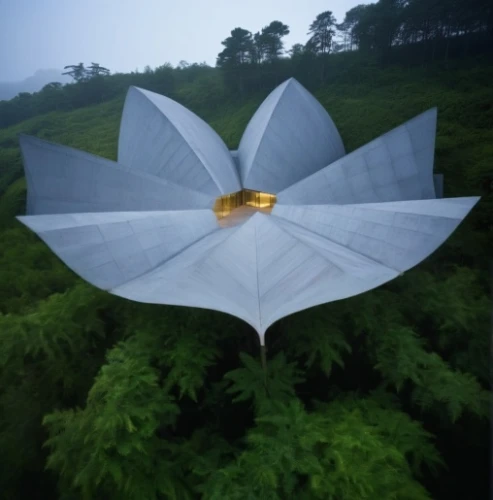 lotus png,korowai,lotus leaf,lotus ffflower,vimana,lotus with hands,stone lotus,viriya,lotus,cocoon of paragliding,lampion flower,butterflyer,yatra,plant protection drone,buaya,vesak,melua,ornithopter,keyuraphan,airavata