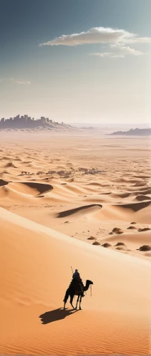 libyan desert,shadow camel,desert fox,desert desert landscape,desert landscape,desert run,desert background,capture desert,sahara desert,gobi desert,deserto,desert,semidesert,sahara,desertlike,the gobi desert,the desert,dog running,merzouga,desert safari,Conceptual Art,Fantasy,Fantasy 10