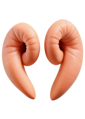 mesentery,deferens,kidney,diaphragmatic,diverticula,homoeosoma,volvulus,orang,appendectomies,diverticulosis,aneurysms,epididymis,mediastinal,diaphragms,testicular,diverticulum,colitis,intussusception,oviduct,diverticular,Unique,3D,Modern Sculpture