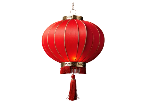 oriental lantern,red lantern,christmas lantern,guobao,asian lamp,japanese lantern,hanging lantern,japanese lamp,lampion,pallonji,illuminated lantern,christmas bulb,jinbao,red balloon,lampion flower,mid-autumn festival,japanese paper lanterns,barongsai,table lamp,baijiu,Photography,Black and white photography,Black and White Photography 11