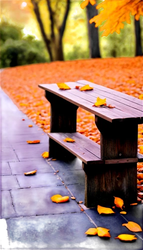 wooden bench,park bench,benches,garden bench,autumn frame,bench,autumn background,picnic table,wooden table,wood bench,stone bench,autumn in the park,autumn park,wooden path,fallen leaves,autumn scenery,red bench,round autumn frame,one autumn afternoon,sidewalk,Illustration,Black and White,Black and White 17